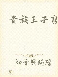 贵族王子穷公主