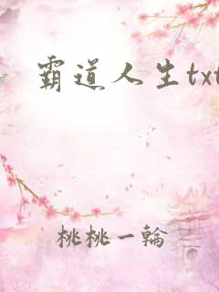 霸道人生txt