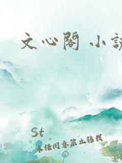 文心阁 小说