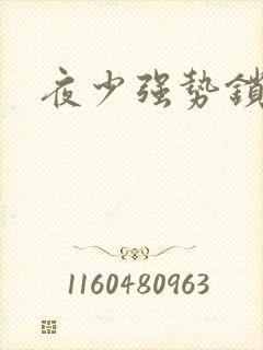 夜少强势锁婚