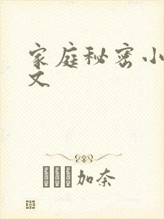 家庭秘密小说全文