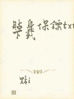 贴身保镖txt下载