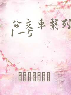 公交车系列合集1一5