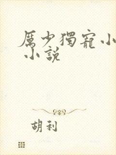 厉少独宠小娇妻 小说