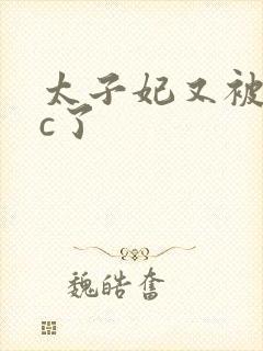 太子妃又被皇帝c了