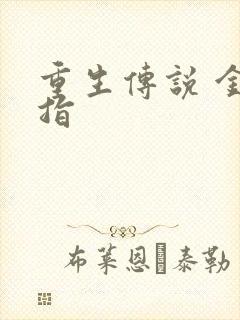 重生传说 金手指