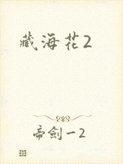 藏海花2