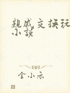 亲戚交换玩美妇小说