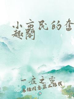 小市民的奋斗笔趣阁