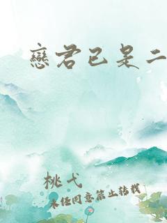 恋君已是二十年