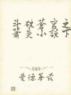 斗破苍穹之重生萧炎小说下载