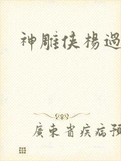 神雕侠杨过后传