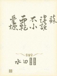 爱而不得苏路顾塬乾小说