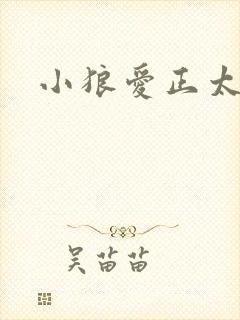 小狼爱正太