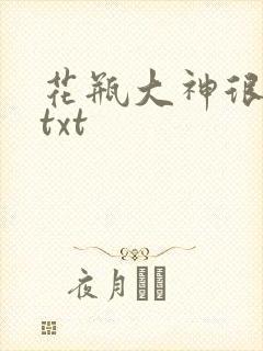 花瓶大神很菜鸟txt