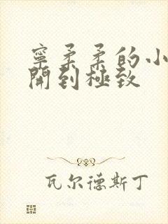 宁柔柔的小泬撑开到极致