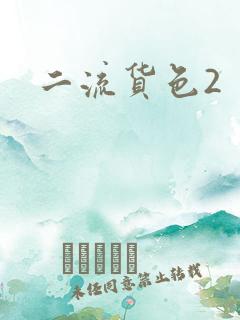 二流货色2
