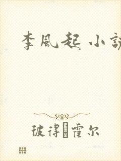 李风起 小说