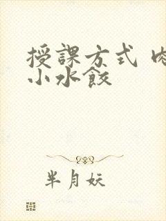 授课方式 肉馅小水饺