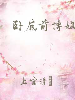 卧底前传姐妹篇