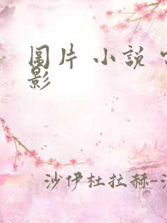 图片 小说 电影