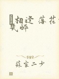 囍相逢 落花能几醉