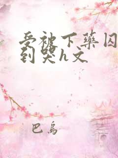 受被下药囚禁脔到哭h文