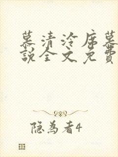 慕清泠席慕深小说全文免费阅读