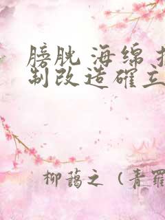 膀胱 海绵 控制改造确立m