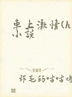 车上激情(h)小说