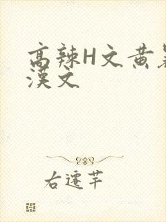 高辣H文黄暴糙汉文