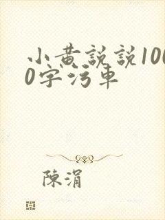 小黄说说1000字污车