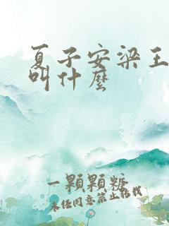 夏子安梁王书名叫什么
