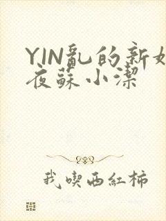 YIN乱的新婚夜苏小洁