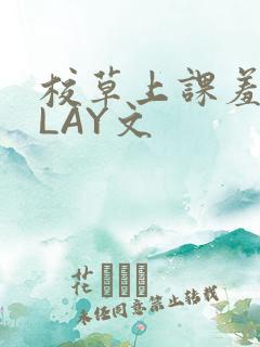 校草上课羞耻PLAY文