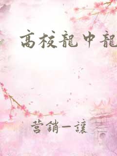 高校龙中龙