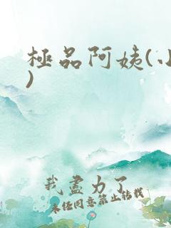 极品阿姨(小说)