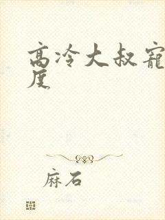 高冷大叔宠妻无度