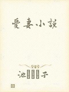 爱妻小说