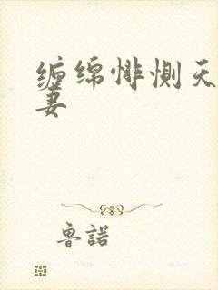 缠绵悱恻天价前妻