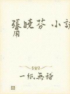 张晓芬 小说主角