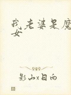 我老婆是魔法少女