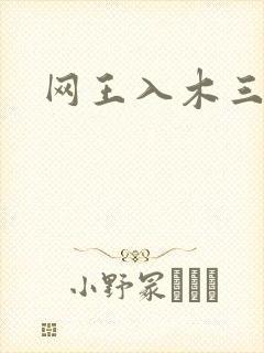 网王入木三分