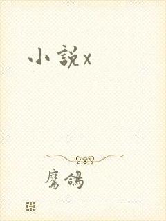 小说x