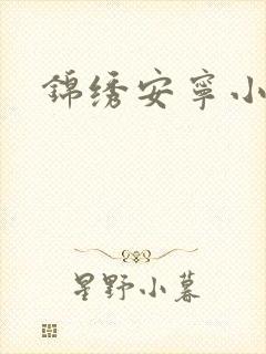 锦绣安宁小说