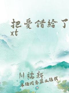 把爱错给了你txt