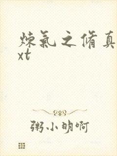 炼气之修真者txt