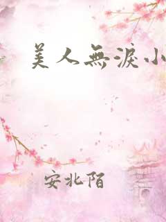 美人无泪小说