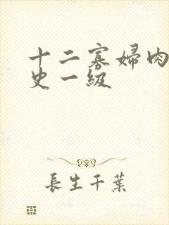 十二寡妇肉床艳史一级