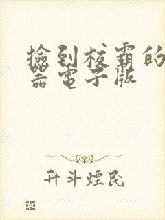 捡到校霸的遥控器电子版